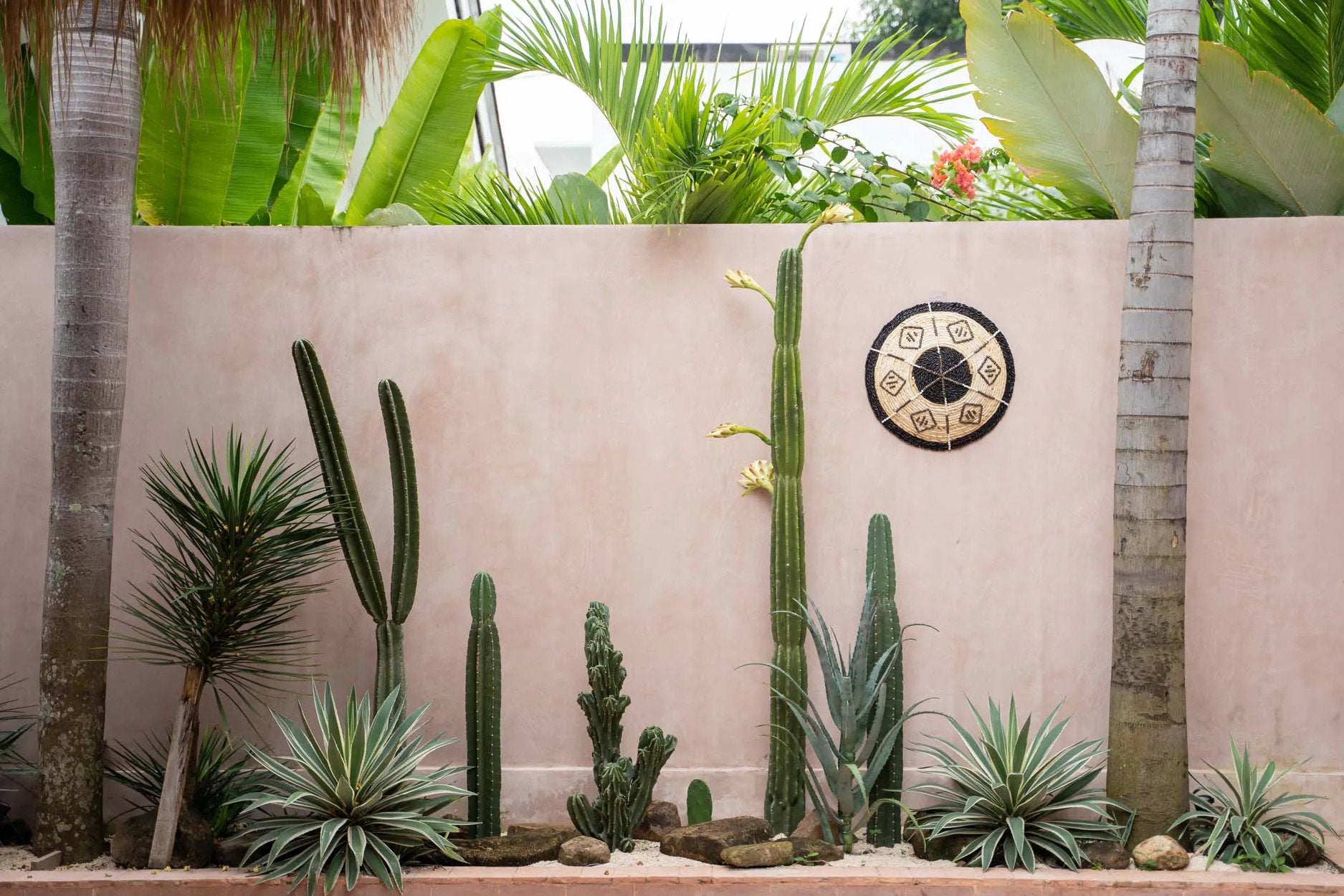 L’Assiette Cozumel – Petite Bazar Bizar - Mathon - 2