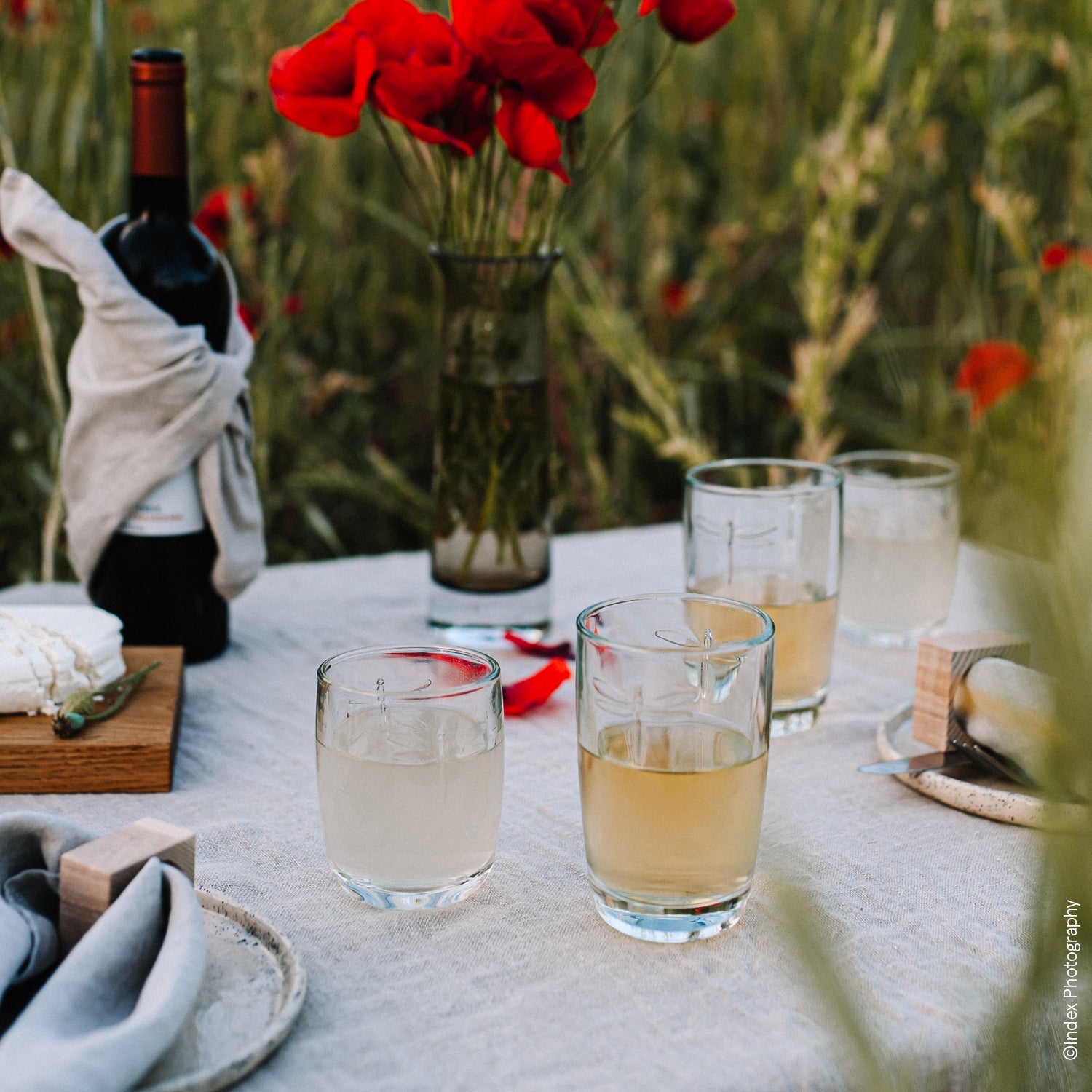 Lot de 6 long drinks La Rochère - Mathon - 5