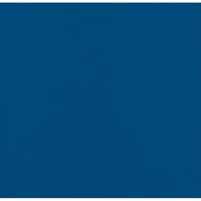 Serviette micro point bleue 2 plis 38 x 38 cm - 40 unités FirstPack - Mathon