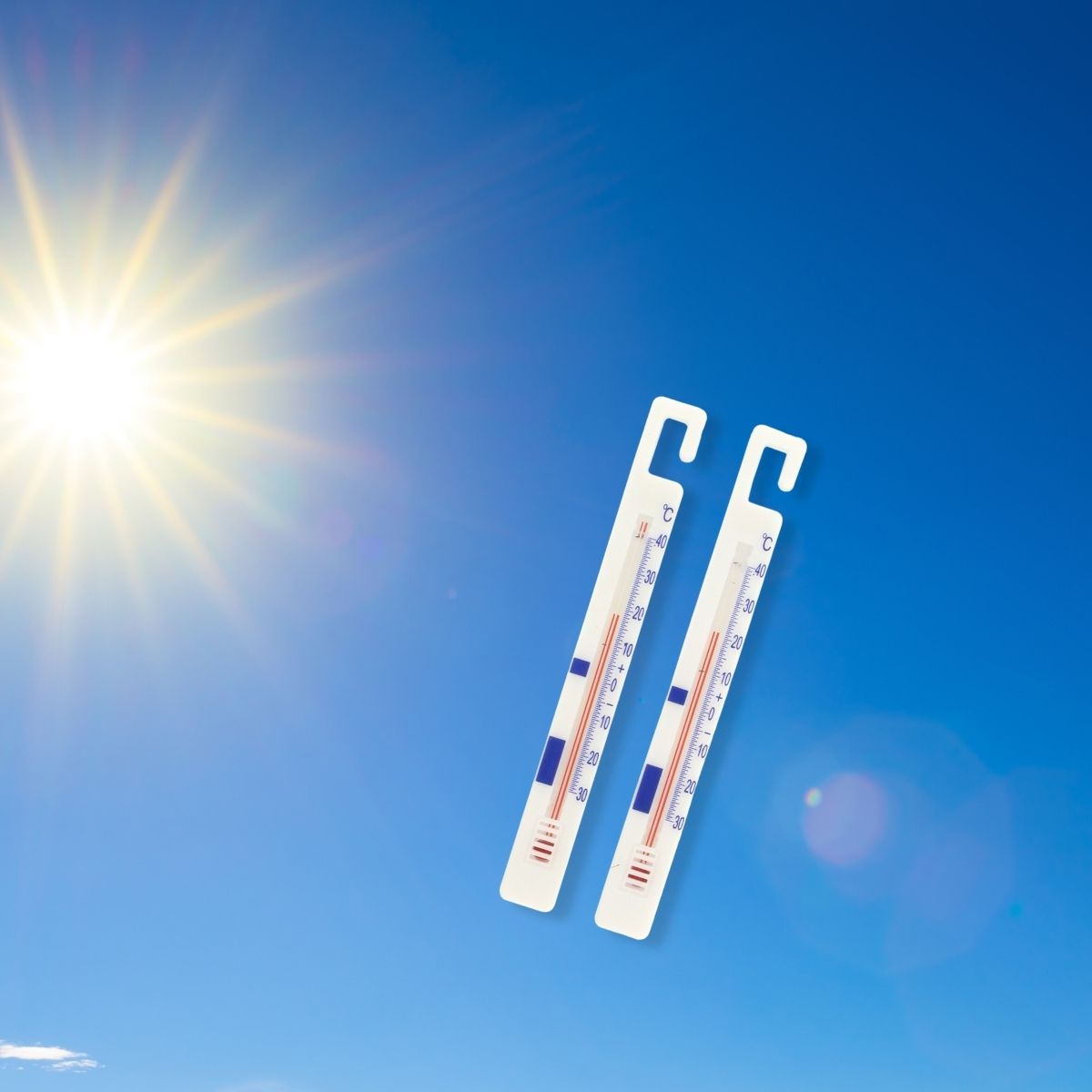 Lot de 2 thermomètres réfrigérateur FM Professional - Mathon - 2