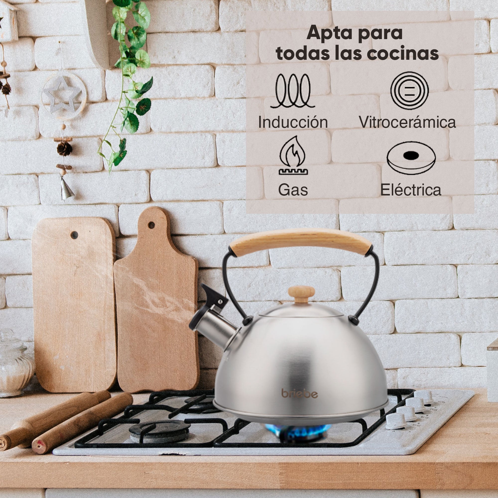 Bouilloire à Induction Théière Sifflet 2,3L  Acier Inox. Retro, Poignée en Bois  Inox Wooden - Mathon - 4