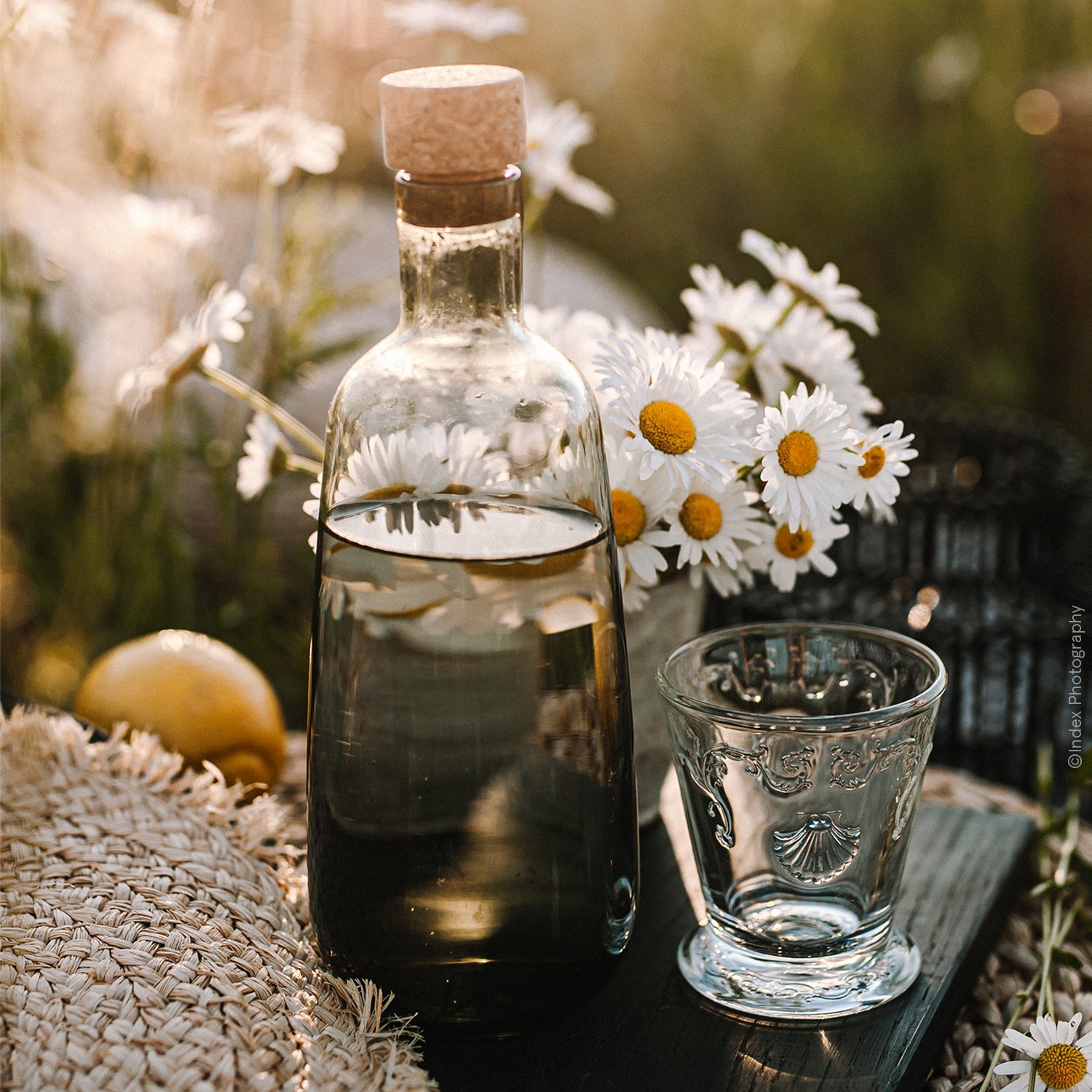 Lot de 6 verres à eau La Rochère - Mathon - 2