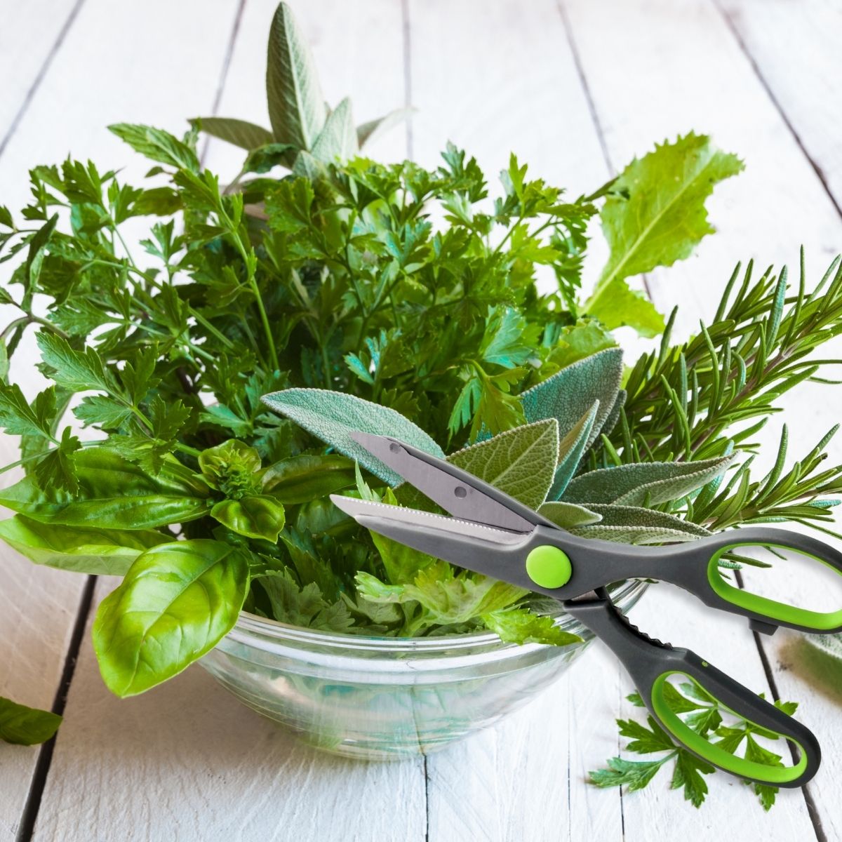 Ensemble de 2 Ciseaux de cuisine décapsuleur Nirosta - Mathon - 2