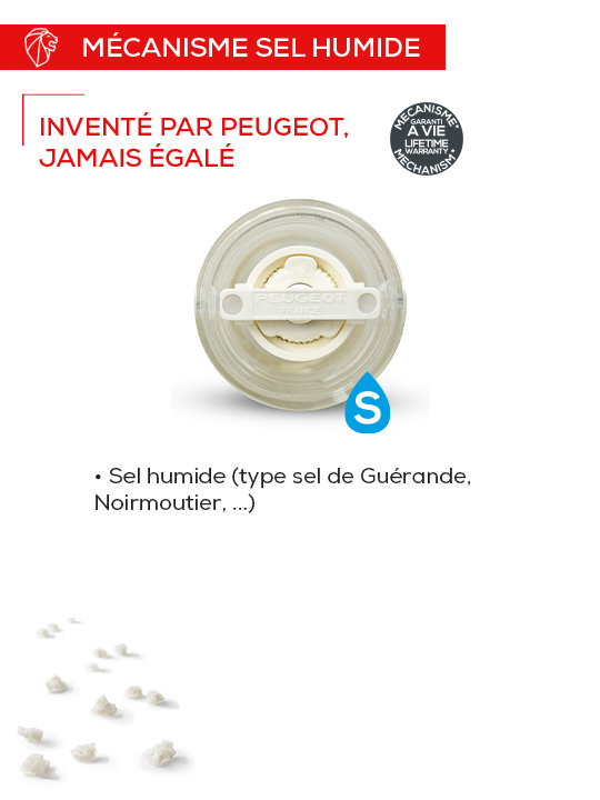 Molène Moulin à  sel humide manuel en acryl couleur blanc 14 cm Peugeot - Mathon - 4