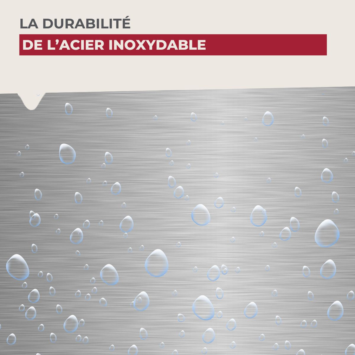 Ensemble de 4 Couteaux de cuisine universel 24 cm en tout  Star Nirosta - Mathon - 6