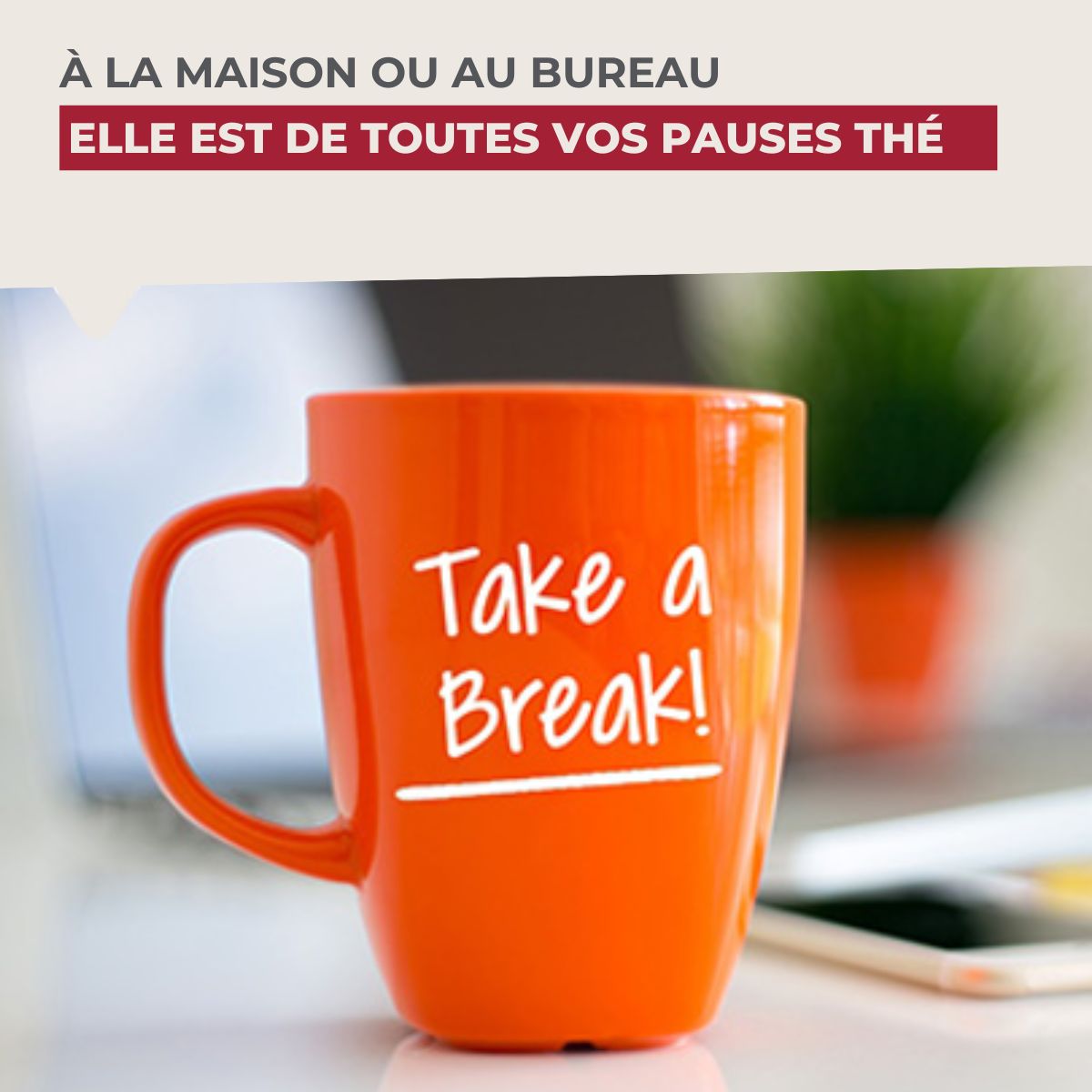 Théière micro-ondable d