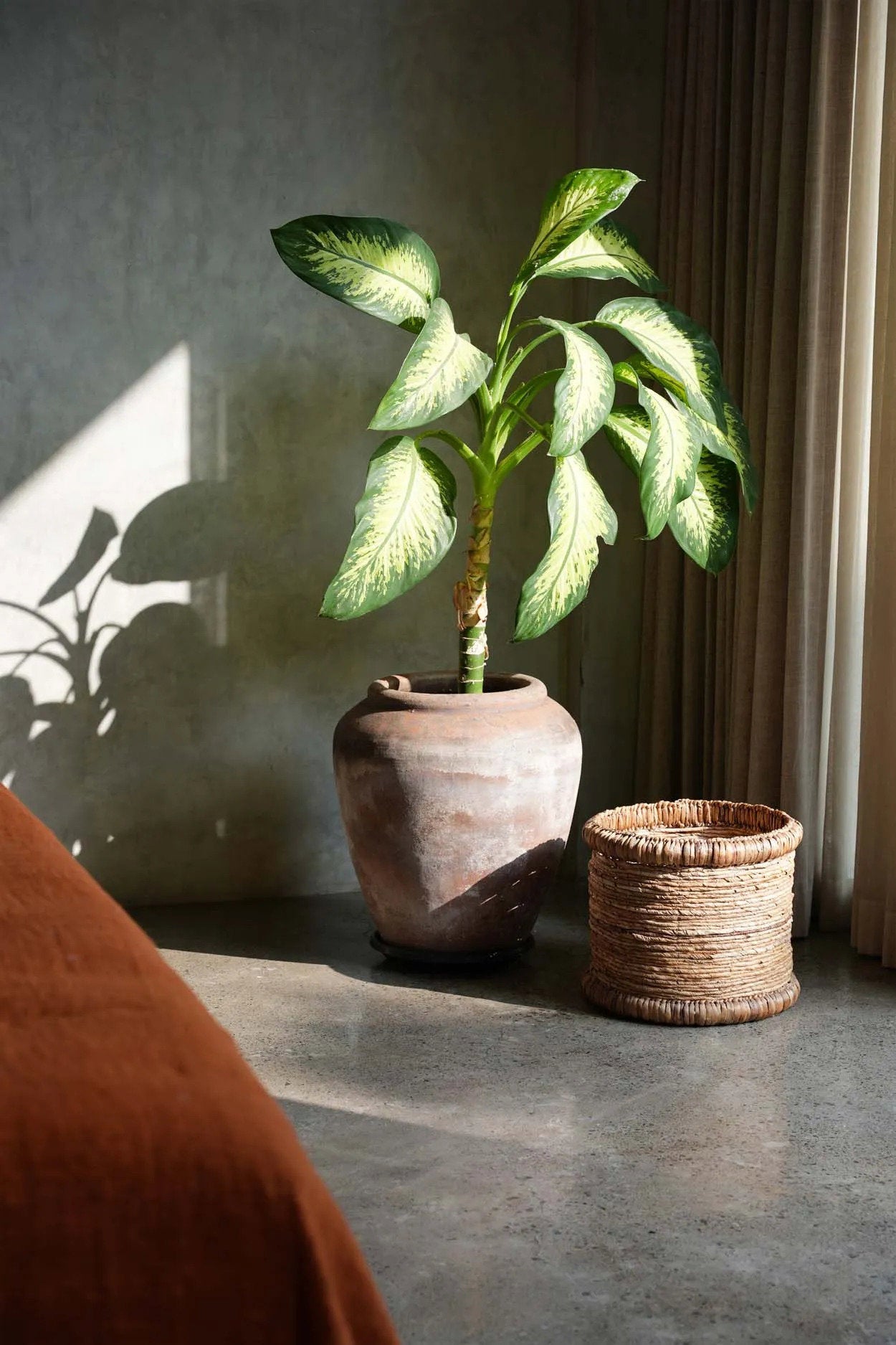 Le Panier Chuka Bazar Bizar - Mathon - 2