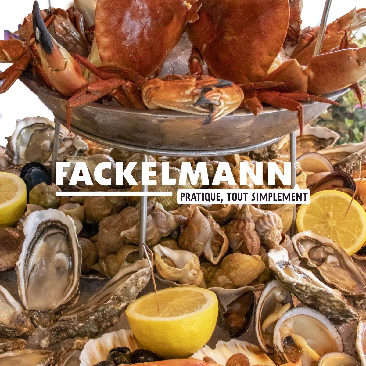 Lot de 6 pics à bigorneaux Fackelmann - Mathon - 8