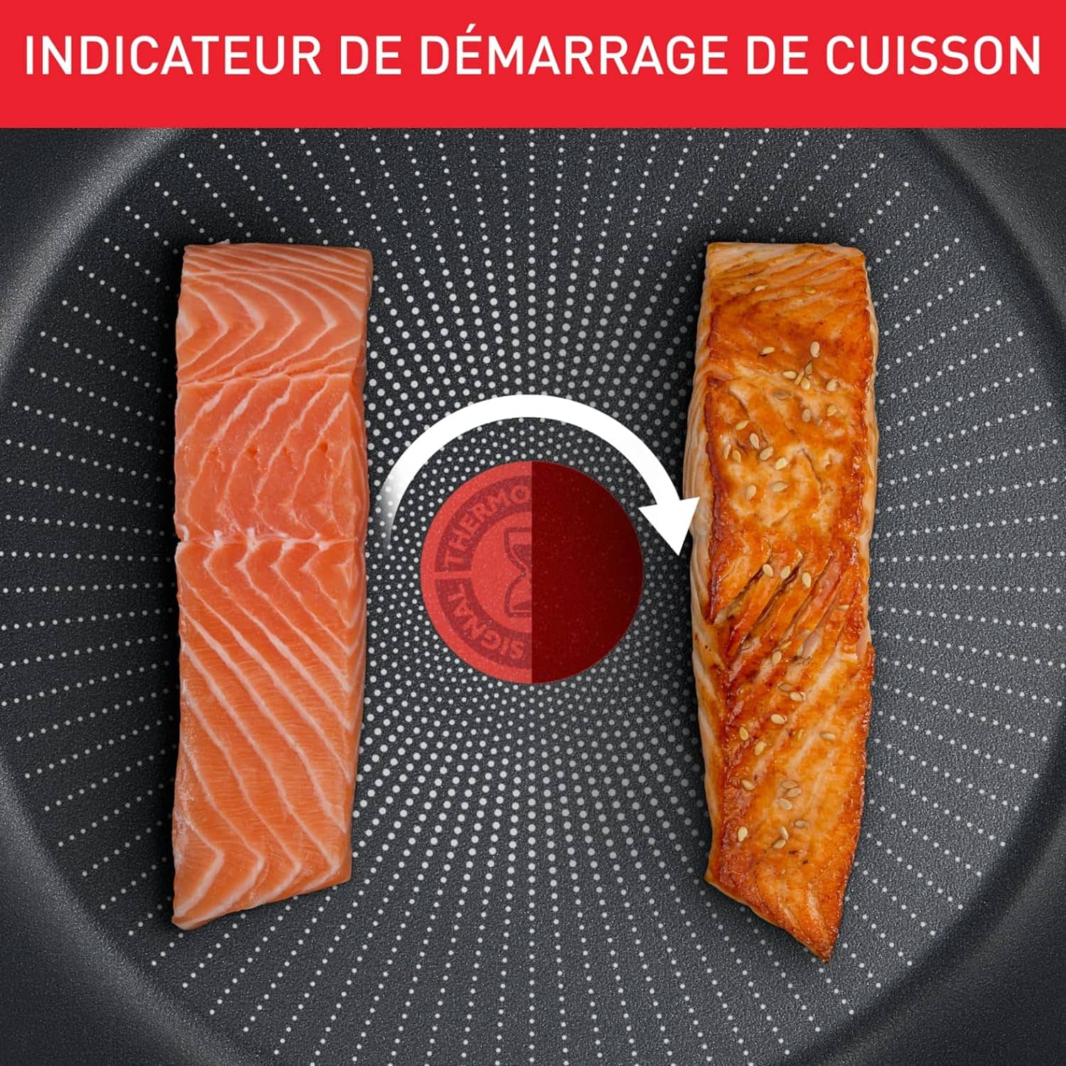 Poêle 20cm Daily Expert Tefal - Mathon - 4