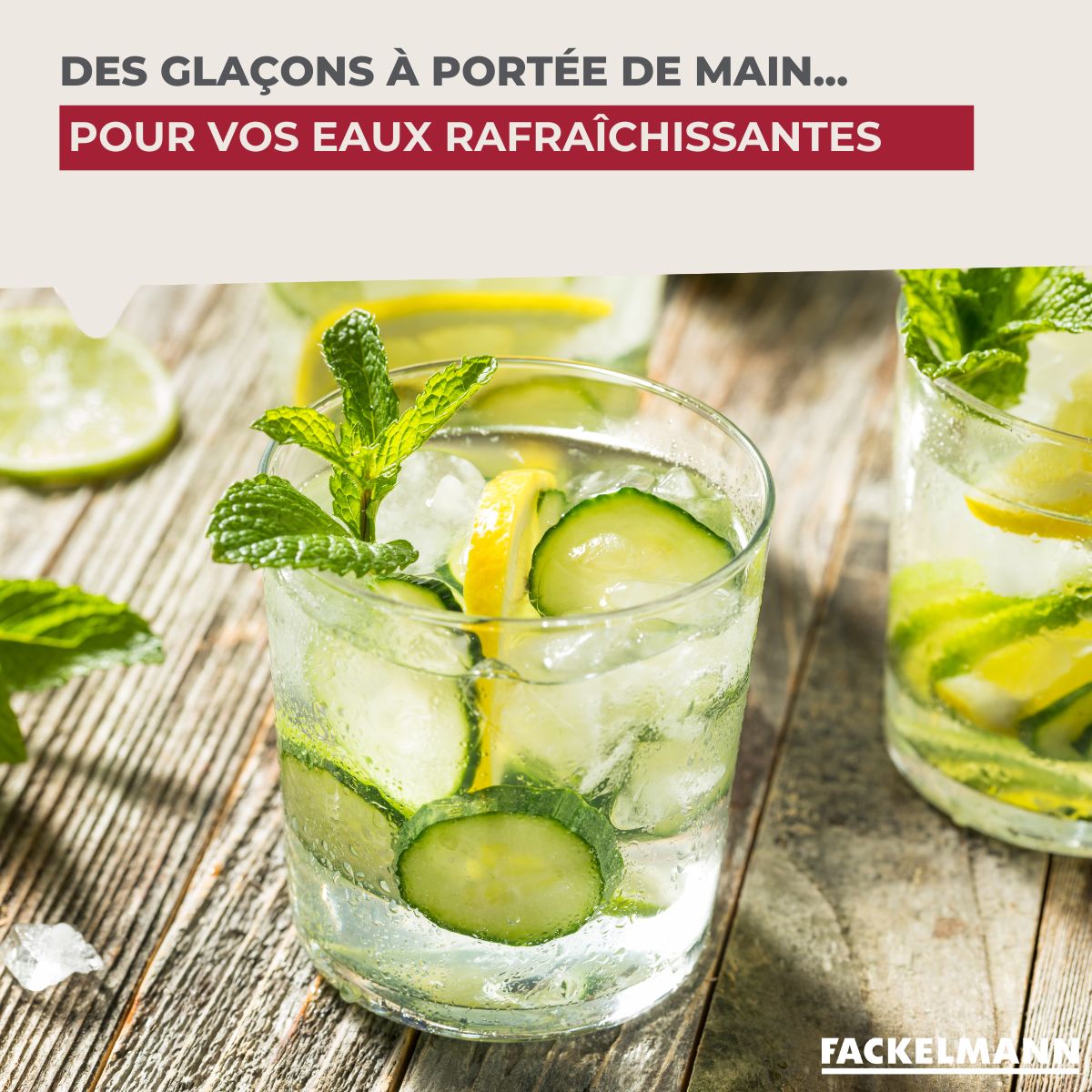 Lot de 2 Bac à glaçons 14 glaçons  Bar Concept Fackelmann - Mathon - 6