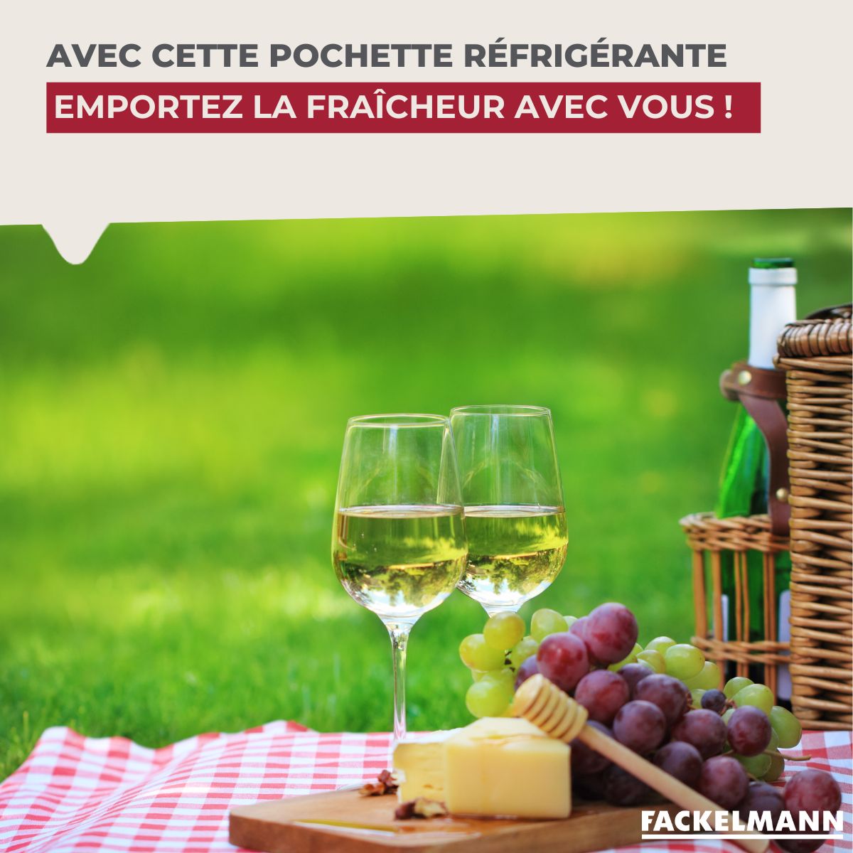 Étui réfrigérant pour bouteilles  Bar Concept Fackelmann - Mathon - 6