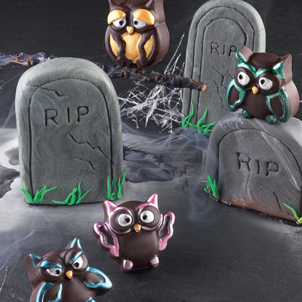 Moule en silicone 12 chocolats chouette Silikomart - Mathon - 5