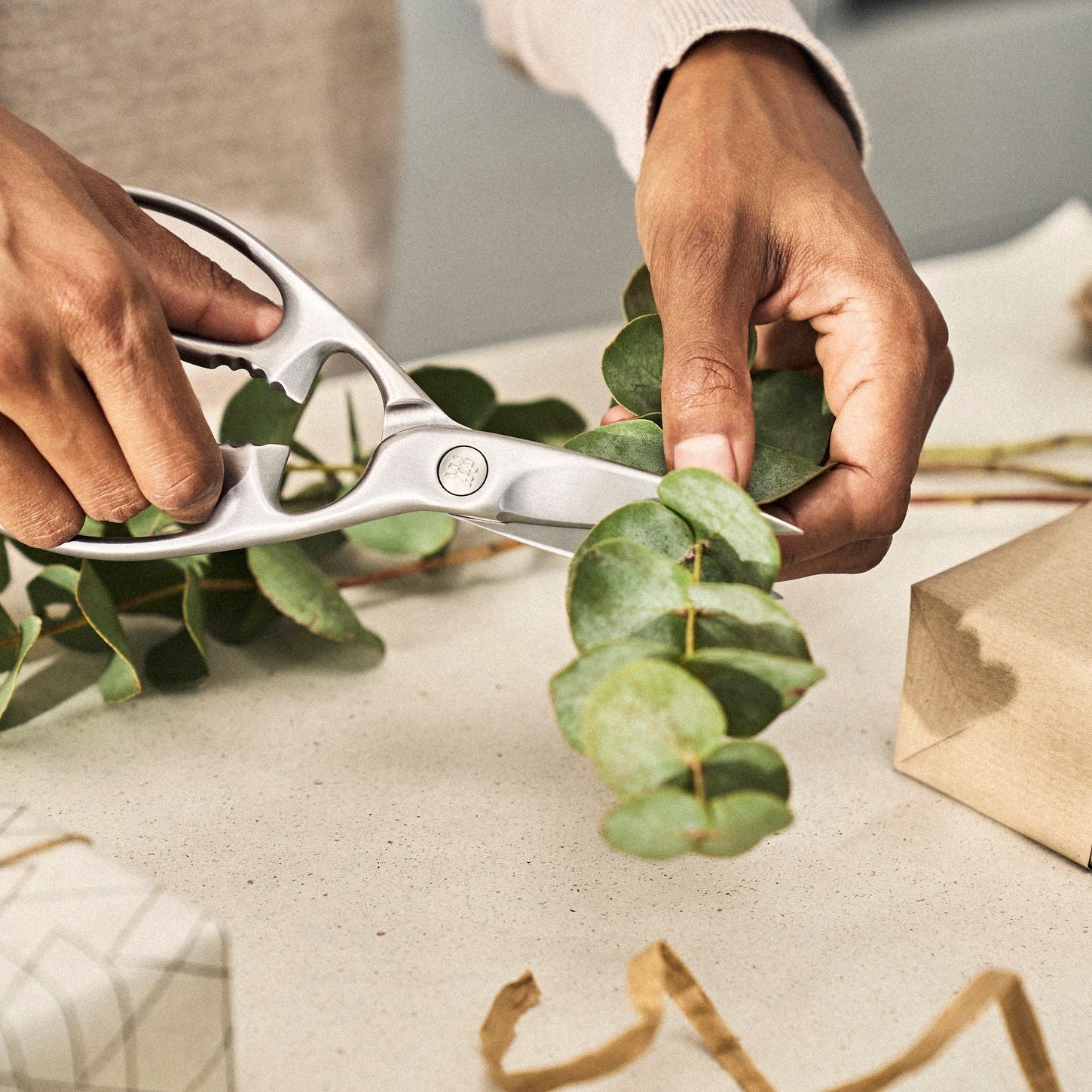 ZWILLING Ciseaux à usages multiples, 20 cm, Acier Inoxydable Zwilling Staub France - Mathon - 2