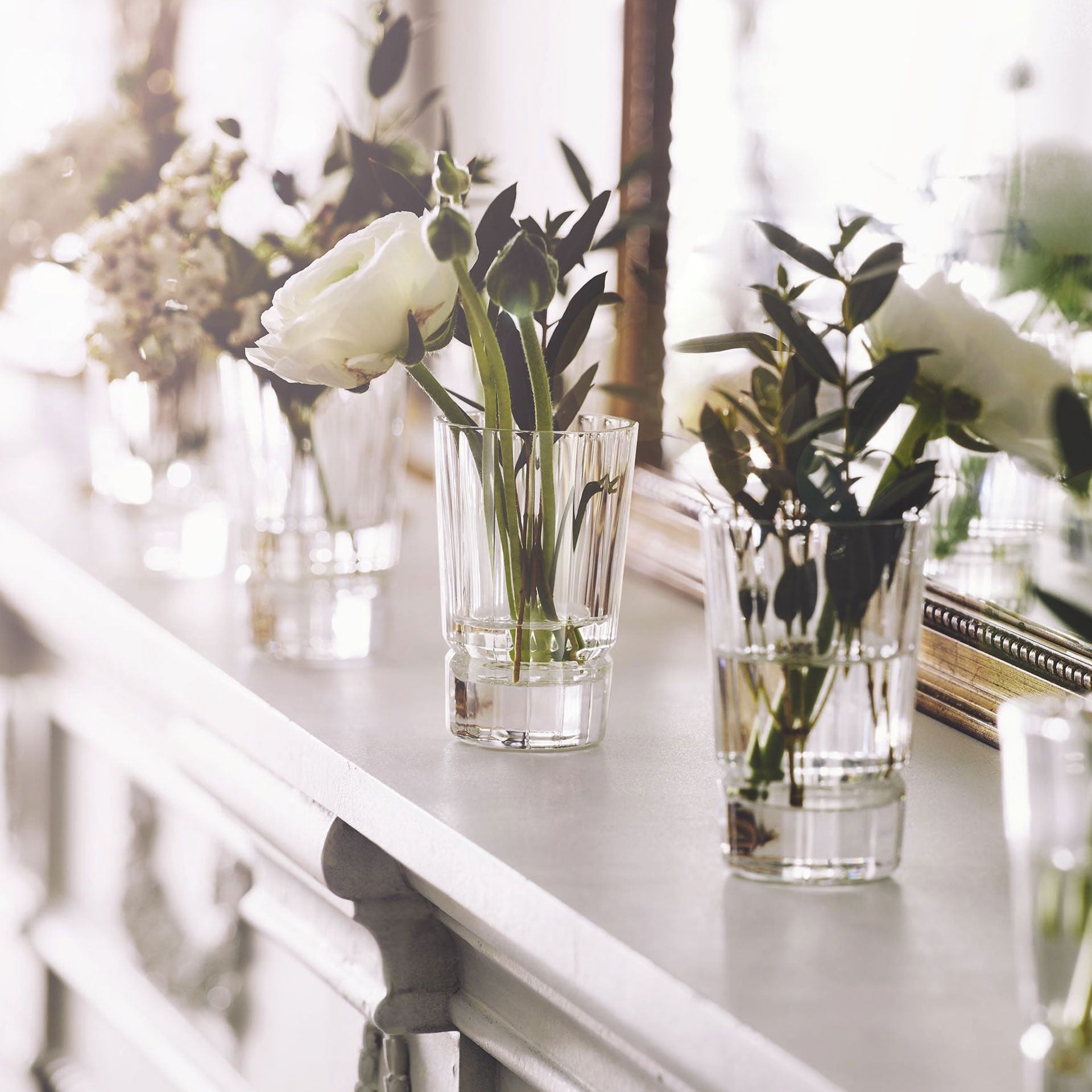 6 verres à shooter 6 cl Macassar - Cristal d