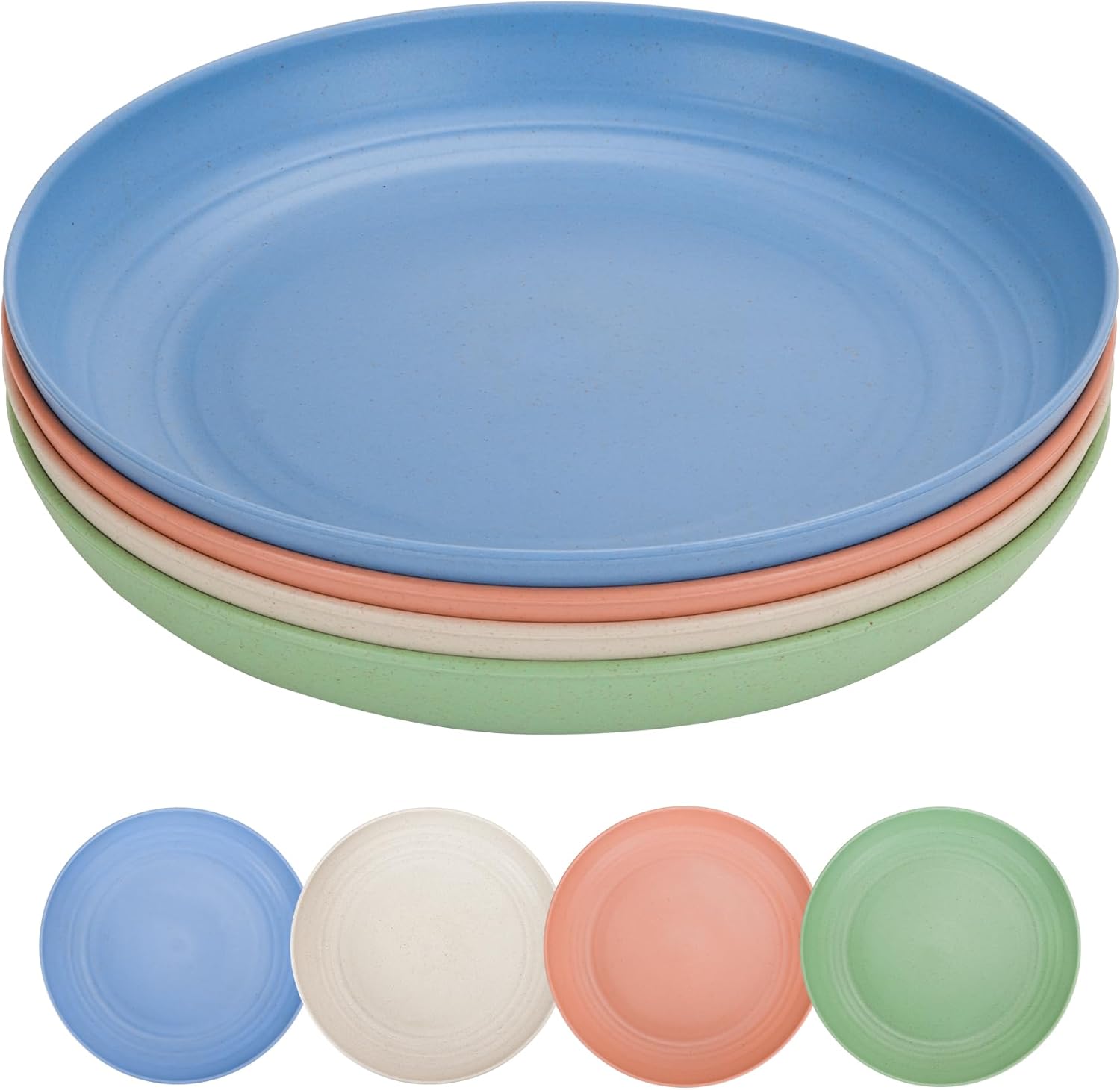 Lot de 4 grandes assiettes réutilisables 25,4 cm Vendos85 - Mathon