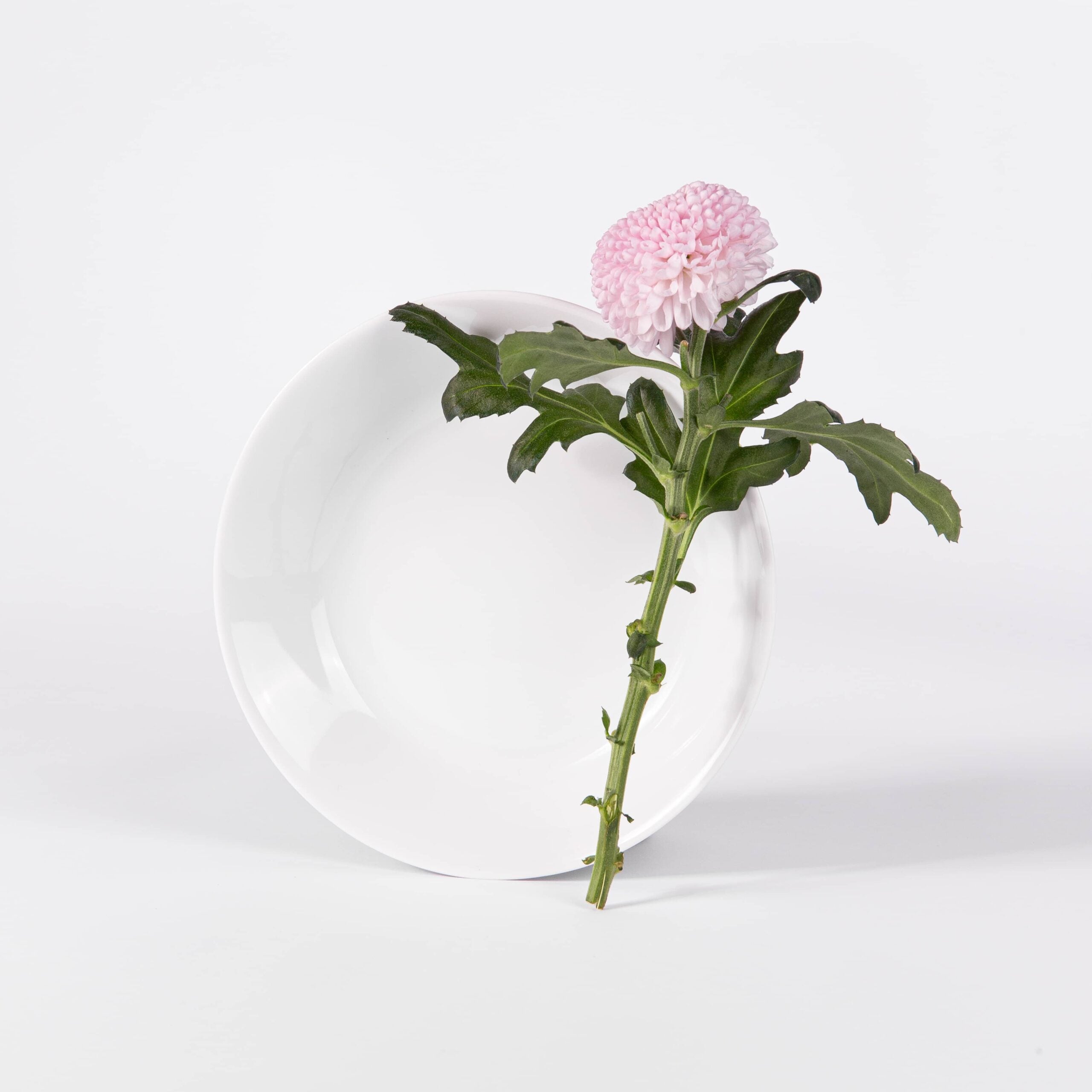 Assiette creuse ronde 19 cm blanche OGRE La Fabrique - Mathon - 4