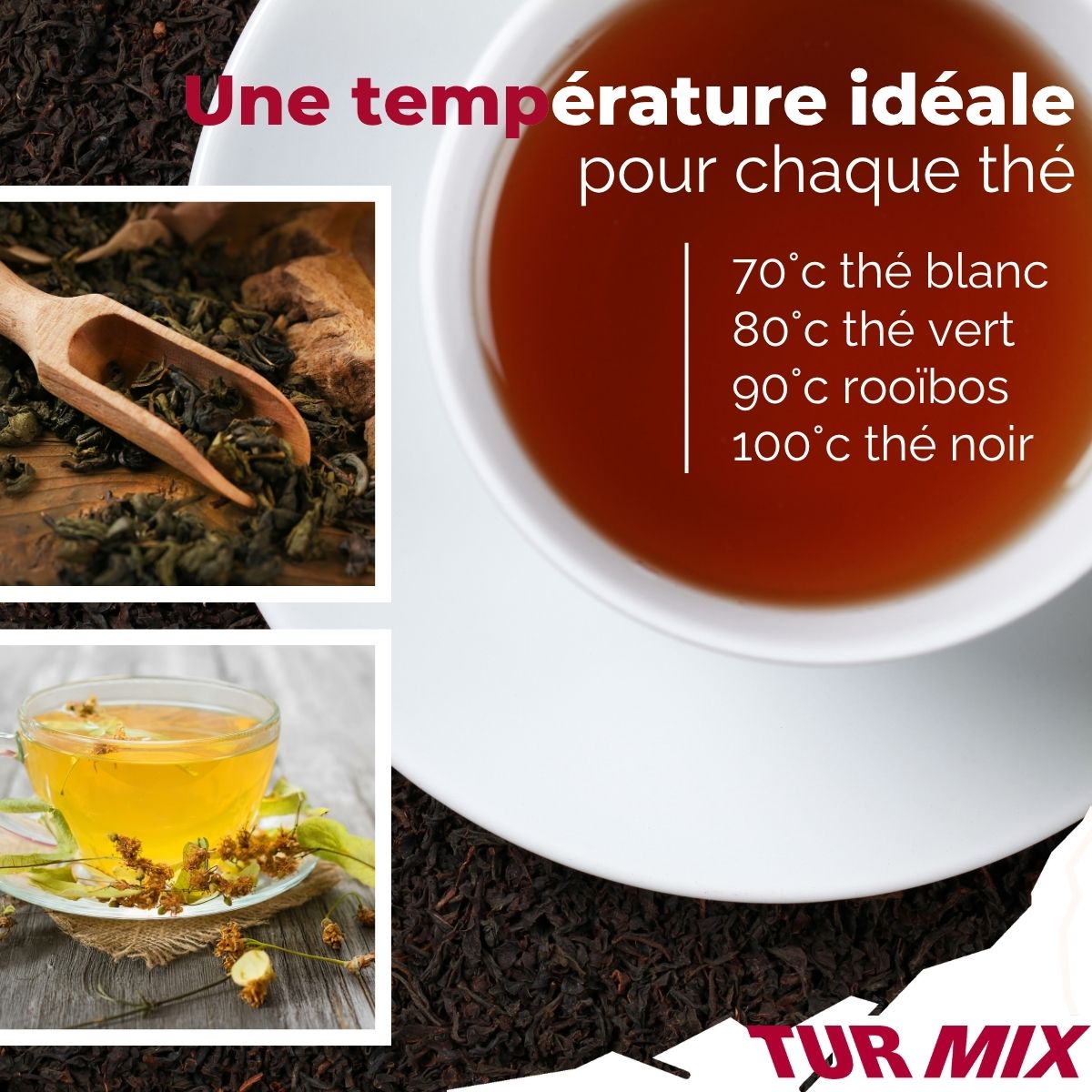 Théière bouilloire électrique 2 en 1 Turmix Fackelmann - Mathon - 5