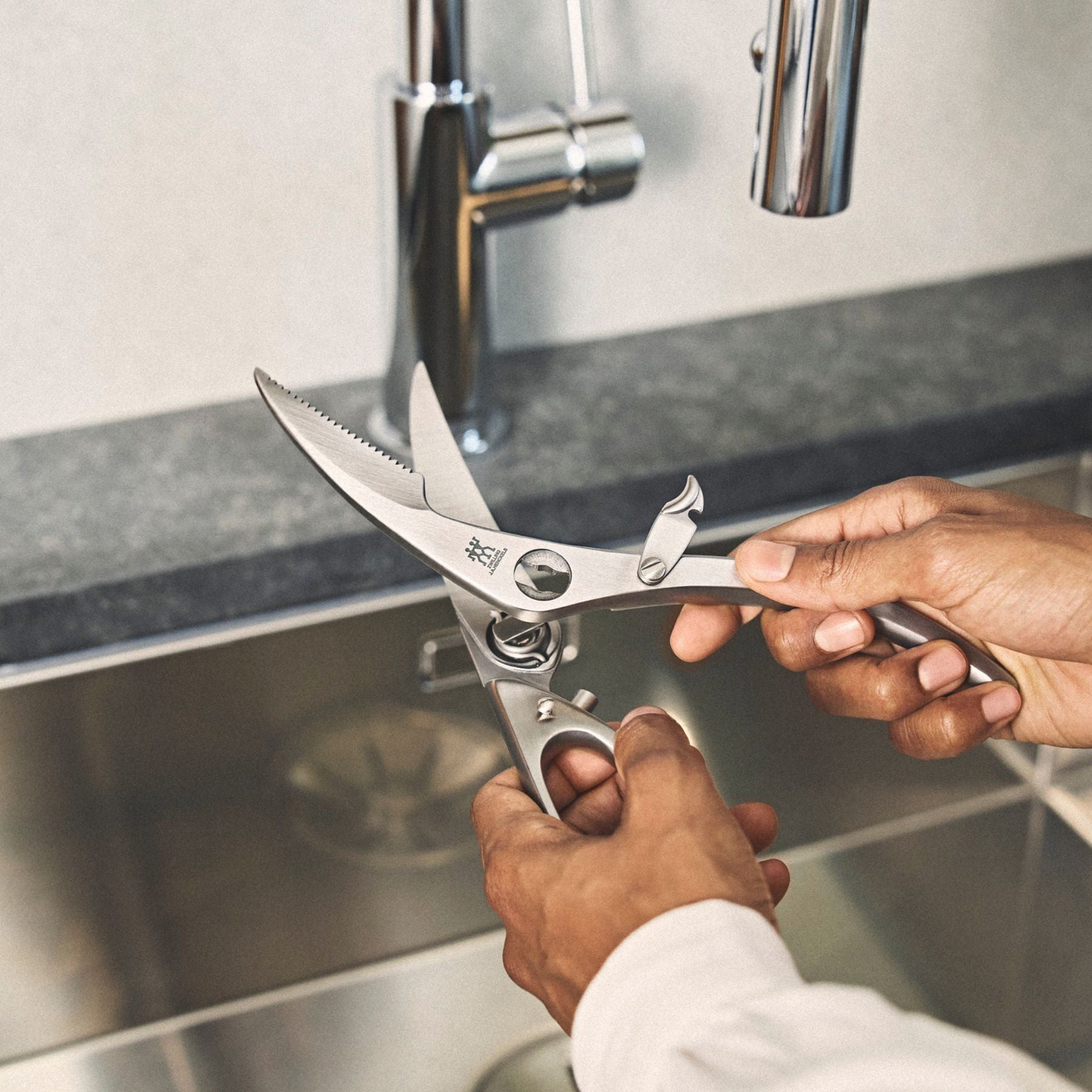 23,5 cm, Ciseaux à volaille, Argent Zwilling - Mathon - 2