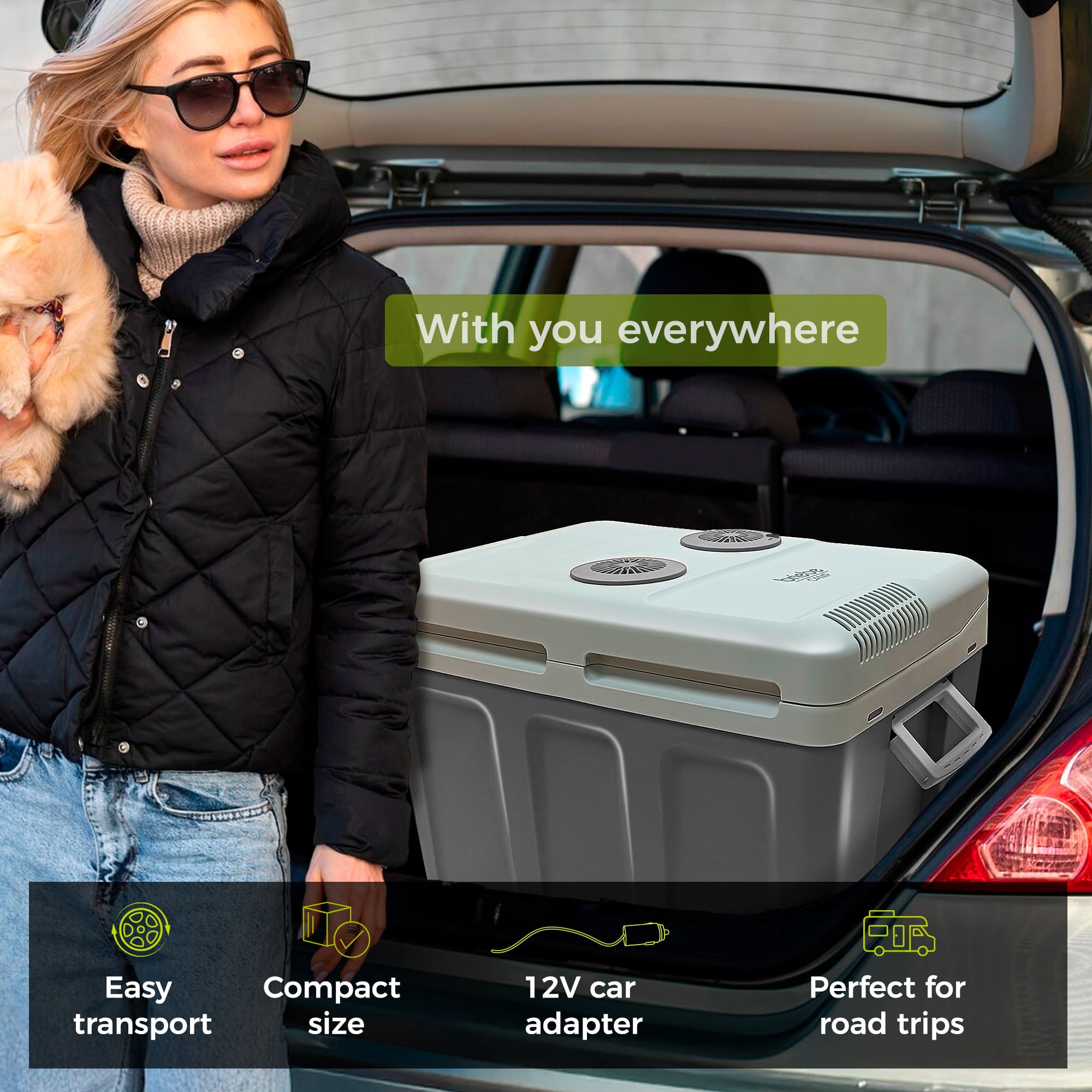 Glacière Électrique portable 40 Litres, 12V / 220 - 240V Voiture et Camping 58  Gris CF1155 - Mathon - 6