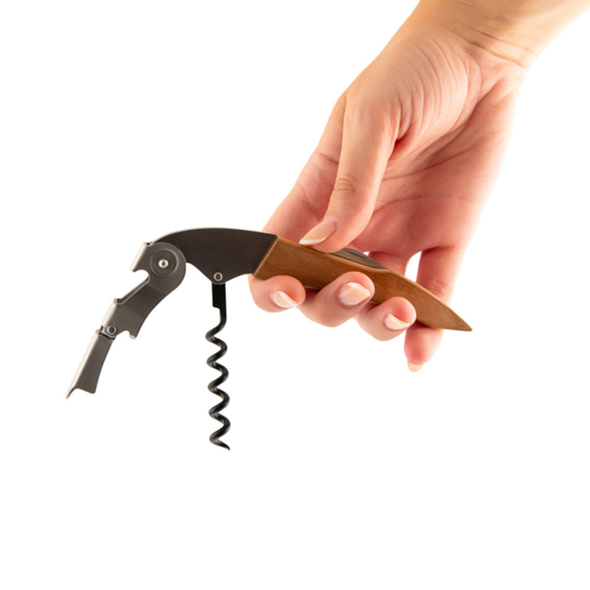 Titan Bois - Tire-bouchon Koala - Mathon - 9