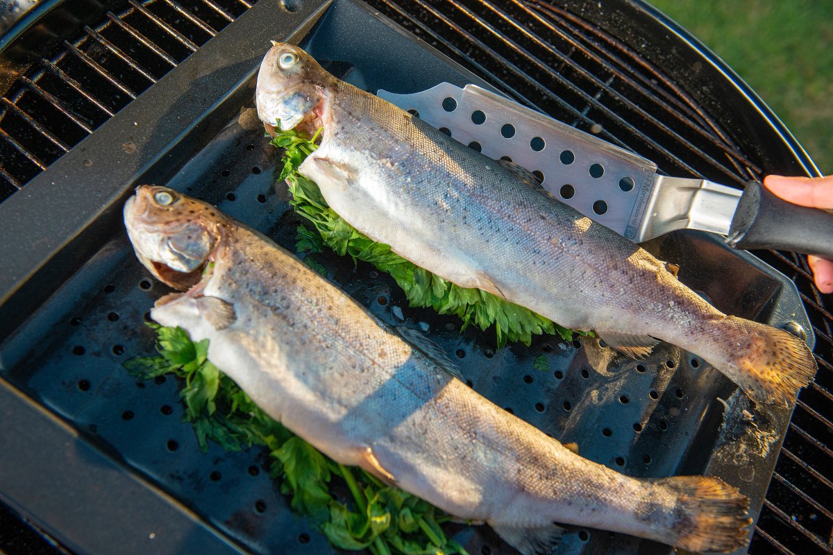 Lot de 3 plats de cuisson en acier émaillé 40 x 34 cm, 21 x 12 cm, 28 x 33 cm  Barbecue FM Professional - Mathon - 5