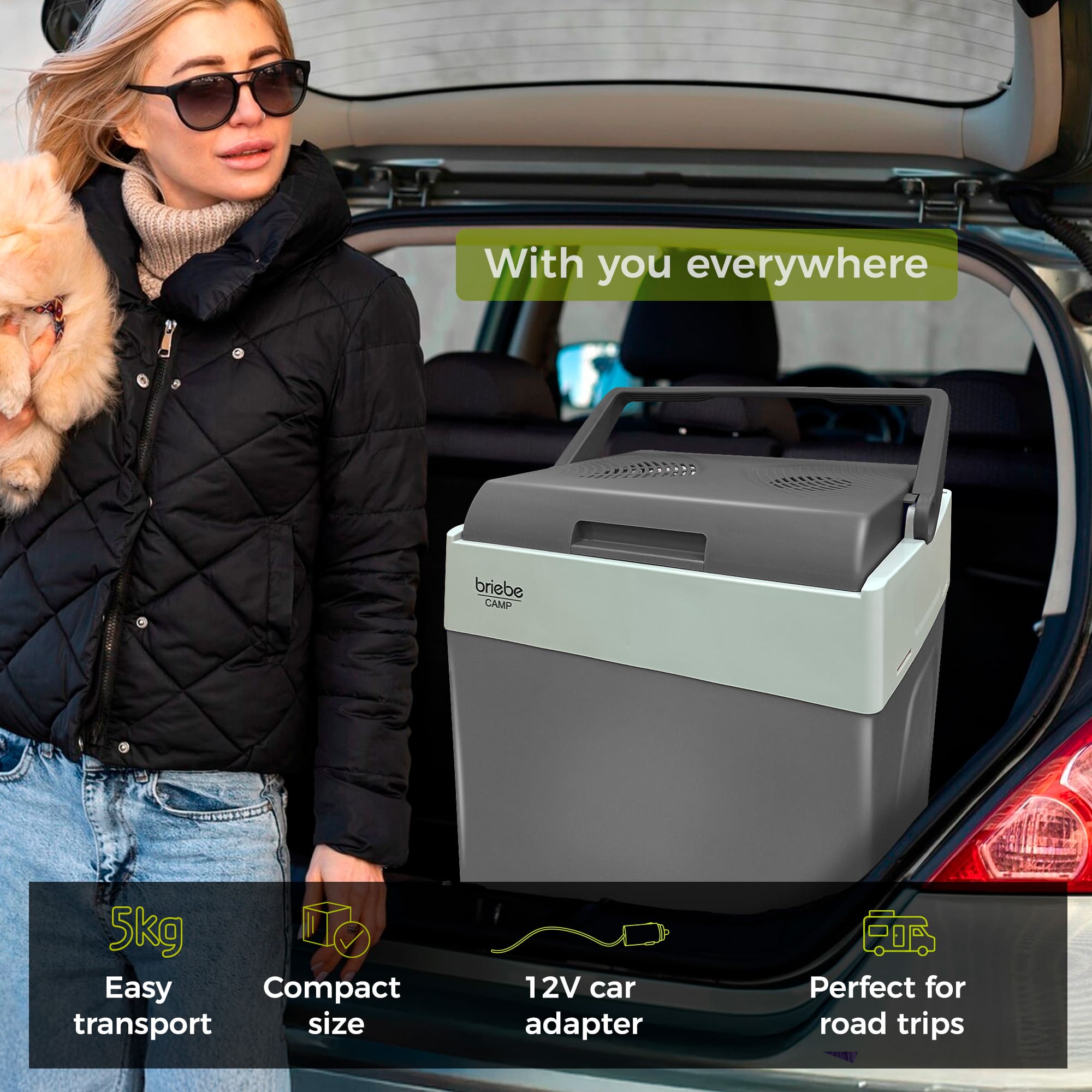 Glacière Électrique portable 28 Litres, 12V / 220 - 240V Voiture et Camping 55 Gris CF1153 - Mathon - 7