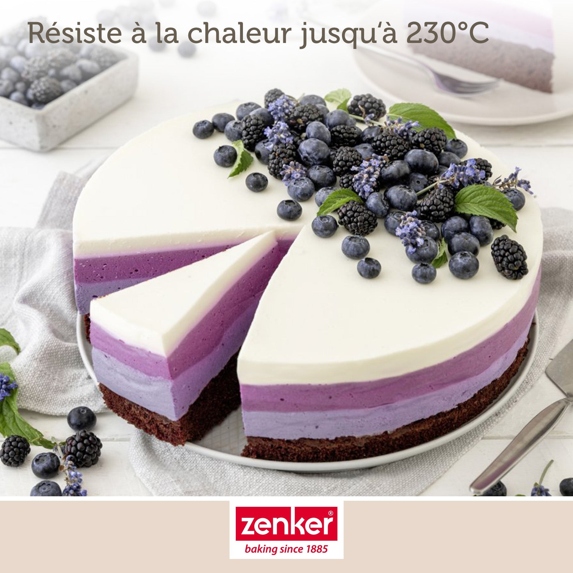 Moule à manqué à charnière en acier 28 cm Zenker Energy Zenker - Mathon - 6