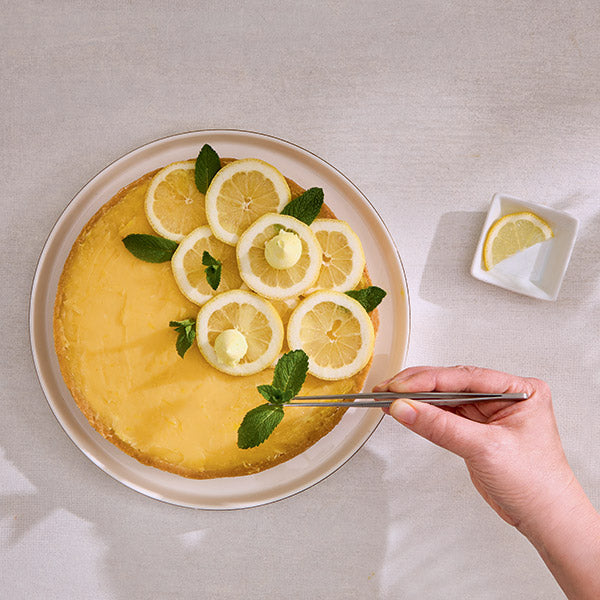 Set de 4 pinces à dresser de précision en inox Mathon - Mathon - 4