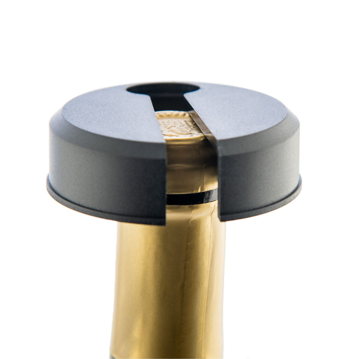 Taste - Coupe Capsule Koala - Mathon - 5