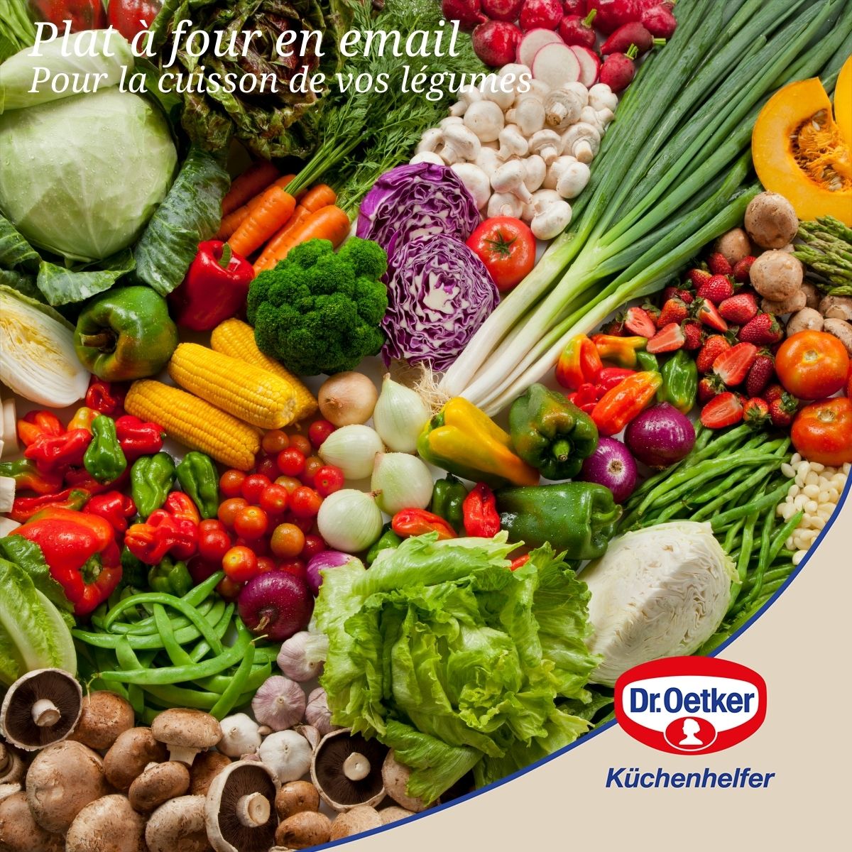 Plat à four avec couvercle en acier émaillé 42 x 34 cm Dr. Oetker Back-Idee Kreativ Dr. Oetker - Mathon - 6