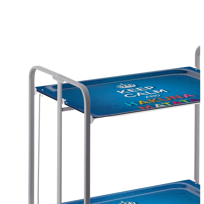 Desserte pliante 2 niveaux avec roulettes – structure gris aluminium, bauhaus Don Hierro - Mathon - 3