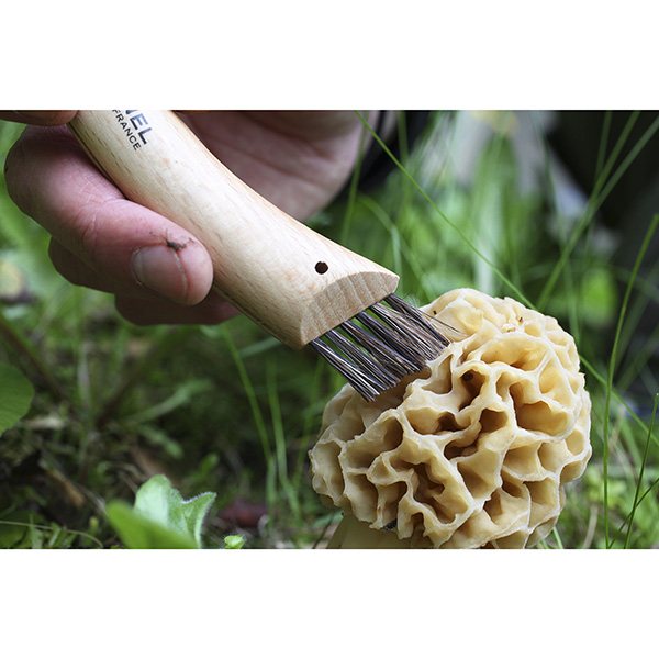 Couteau à champignons pliant N°08 lame inox 8 cm Opinel - Mathon - 5
