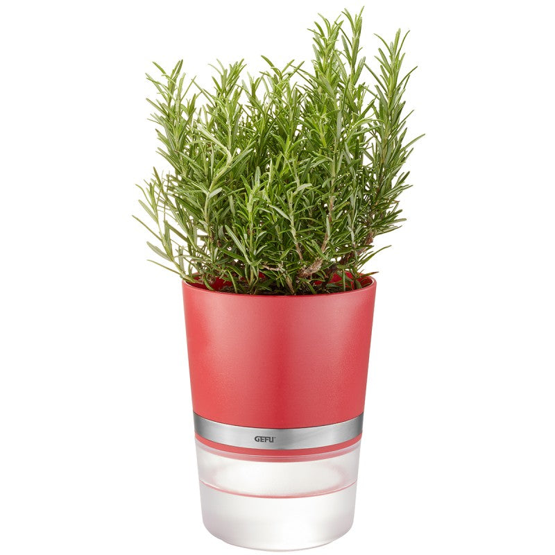 Pot d’herbes aromatiques BOTANICO, framboise Gefu - Mathon - 1