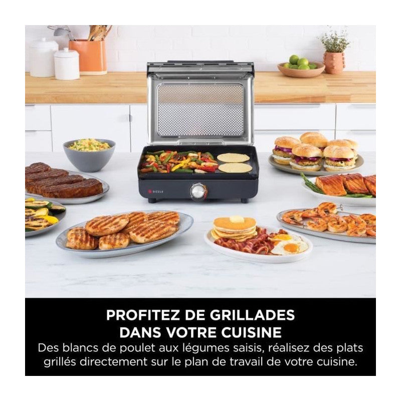 Grill Et Plancha D