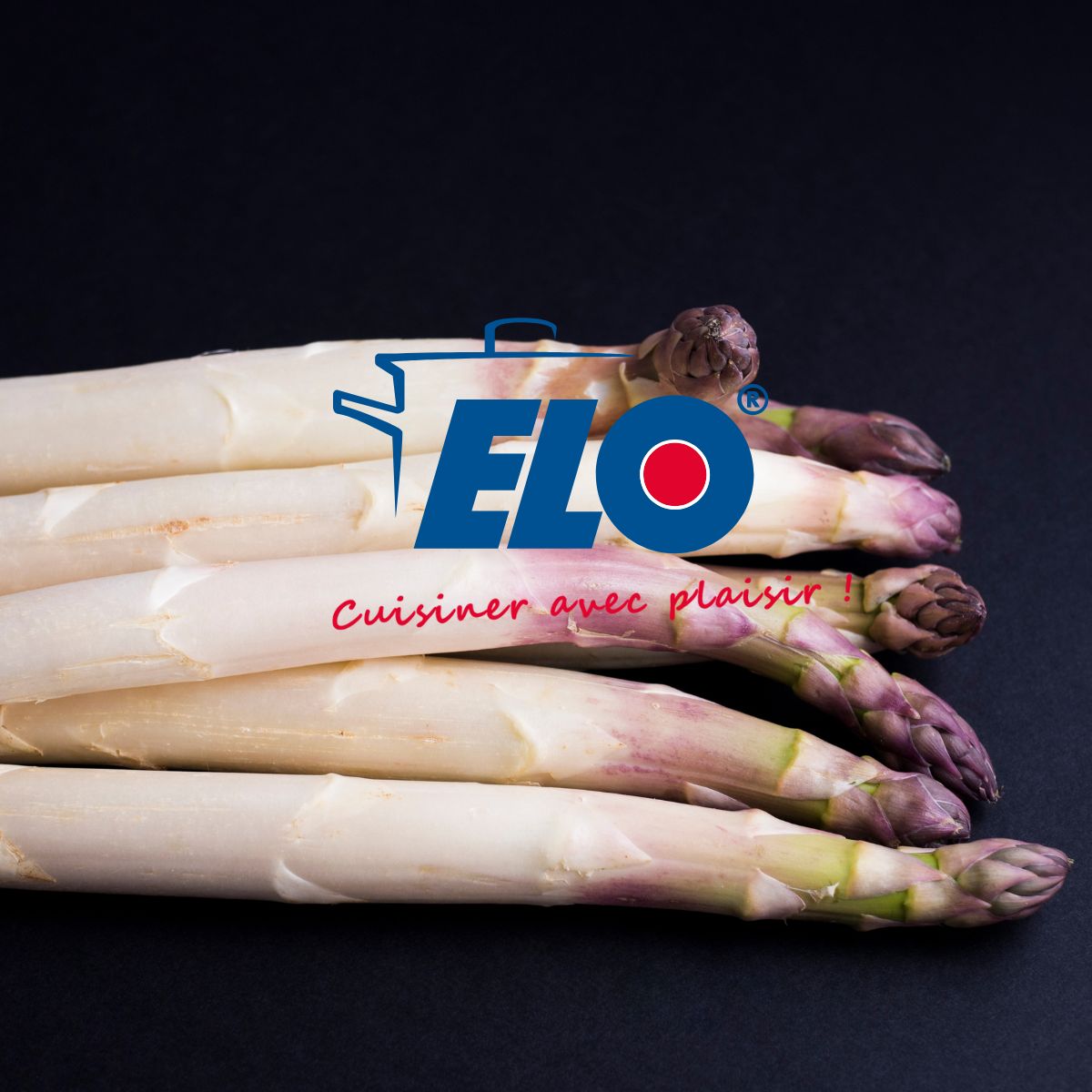 Cuiseur à asperges inox avec couvercle 4 litres  Brillant Elo - Mathon - 7