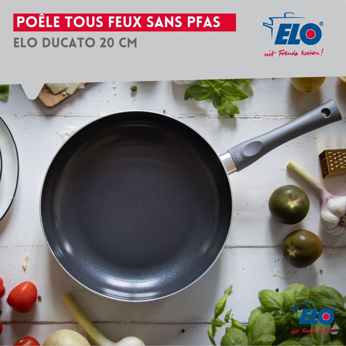 Poêle tous feux 20 cm sans PFAS  Ducato Elo - Mathon - 2