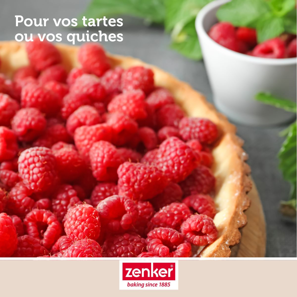 Moule à tartes 25 cm Zenker Silicone fibre de verre Zenker - Mathon - 5