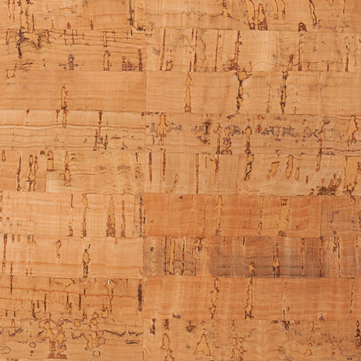 Fresh - Manchon réfrigérant vin et champagne Liège Koala - Mathon - 4