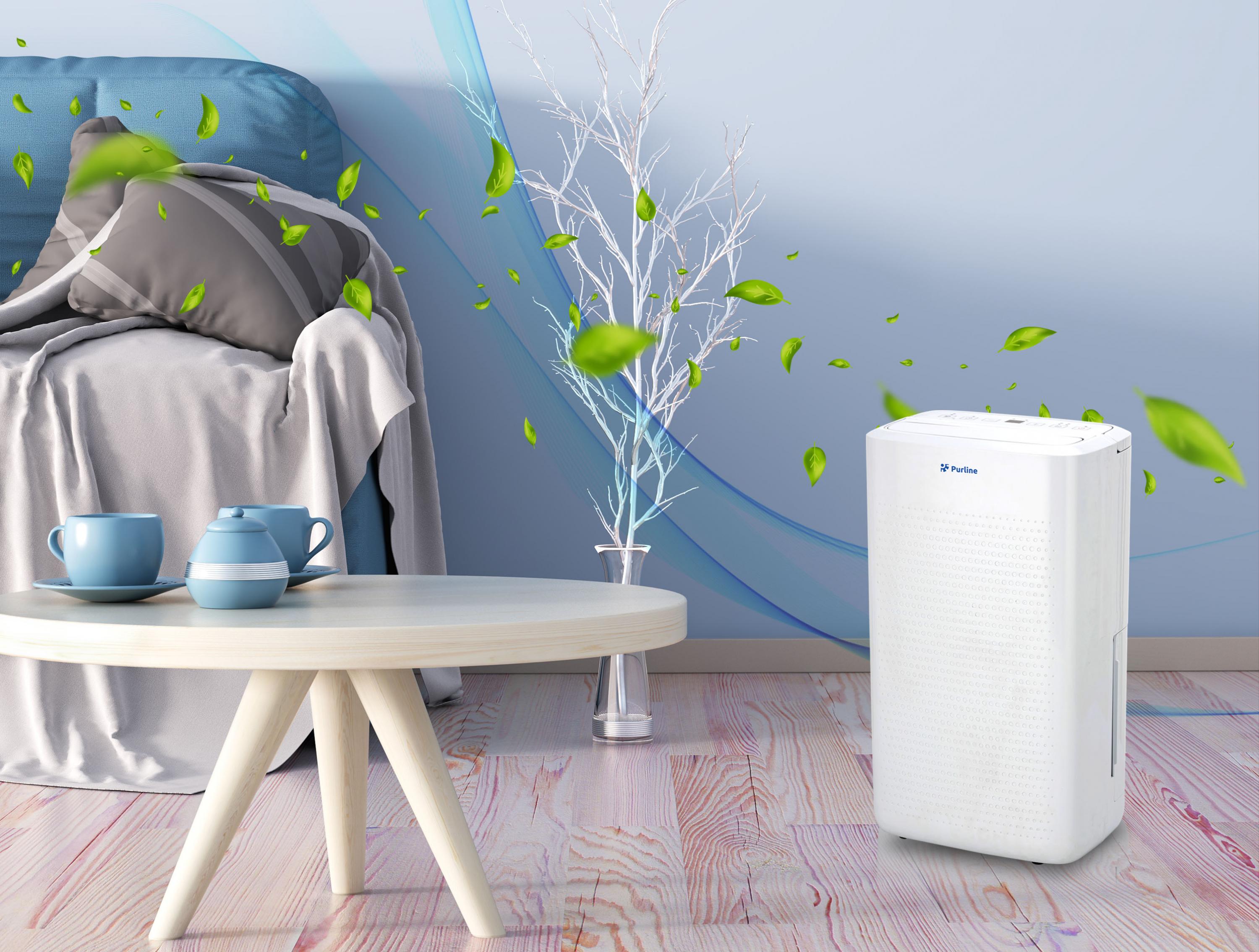 Déshumidificateur avec compresseur 12 l/d Purline - Mathon - 3