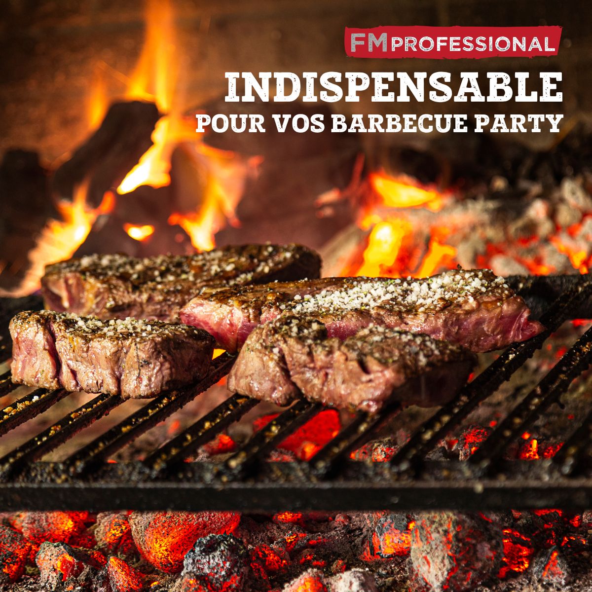 Brosse à nettoyer le barbecue 28 cm bois et acier FM Professional - Mathon - 5