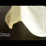Crêpière professionnelle 40 cm 3000 W Lagrange - Mathon - 7