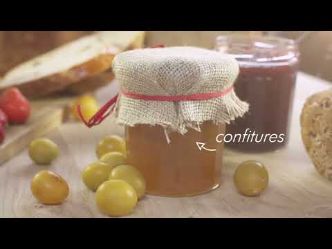 Machine à pain Sans gluten & Co 820W MP570A Riviera et bar - Mathon - 3