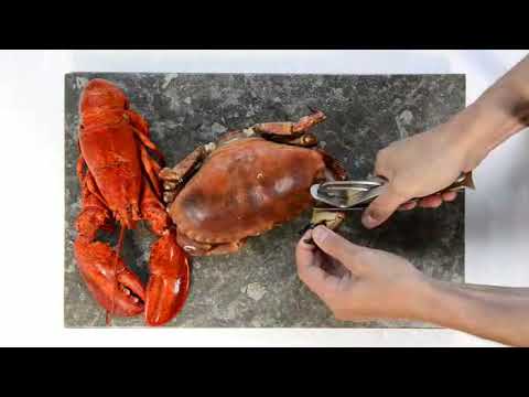 Pince à crustacés Caretta - Mathon - 4