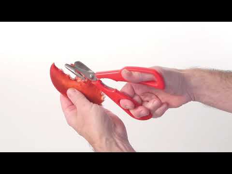 Ciseaux à crustacés noir Moha - Mathon - 6