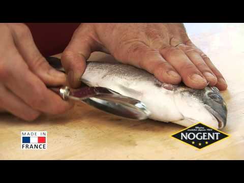 Ecailleur à poisson bleu triple action Vitécaille Nogent - Mathon - 3