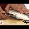 Ecailleur à poisson bleu triple action Vitécaille Nogent - Mathon - 3