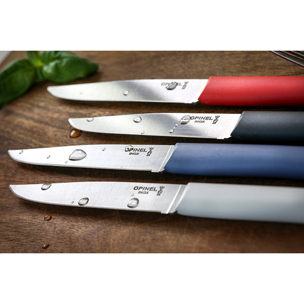 Coffret 4 couteaux de table Bon Appétit Opinel - Mathon - 6