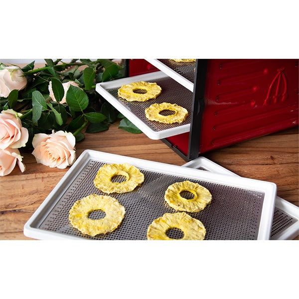 Déshydrateur pro 6 plateaux 5500 cm² 500 W Atacama - Mathon - 3