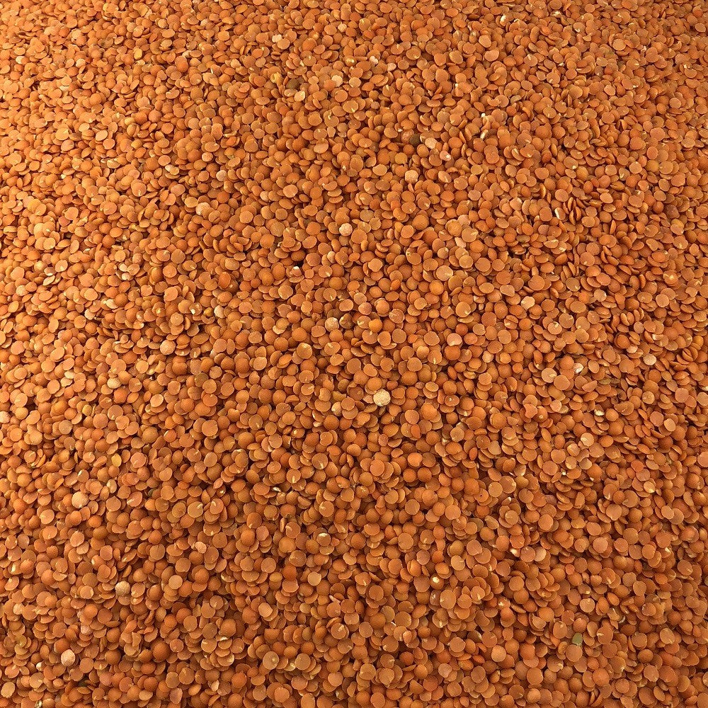Lentille Corail Bio en Vrac 10kg Vrac Bio - Mathon - 2