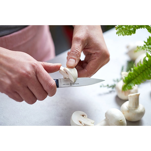 Couteau office Intempora N°225 inox 10 cm Opinel - Mathon - 3